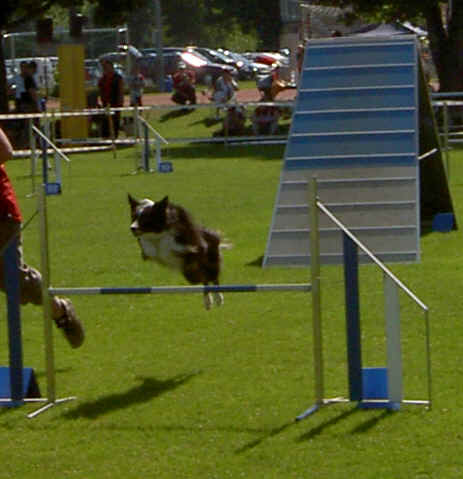 Agility KV Sensetal 2009