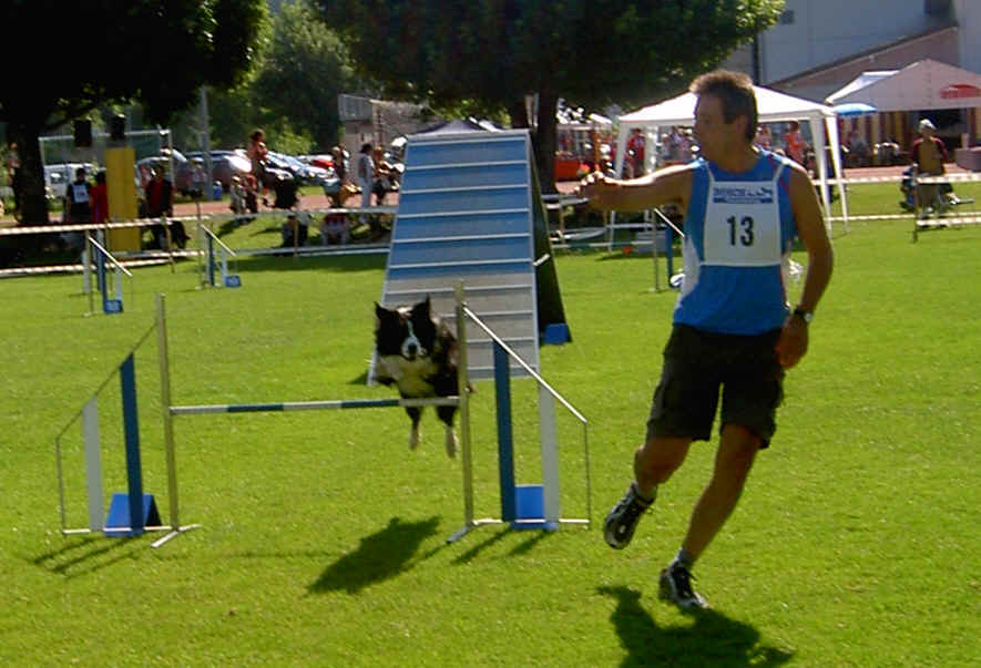 Agility KV Sensetal 2009