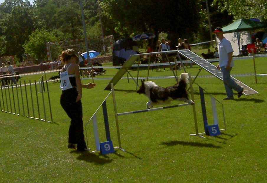 Agility KV Sensetal 2009